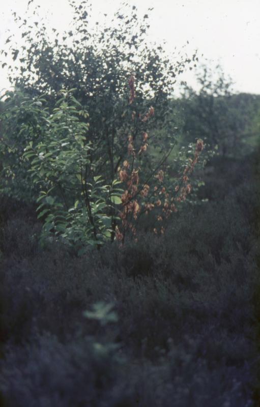 Foto 198693193